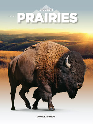 cover image of In the Prairies